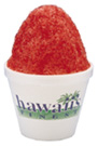 14oz Hawaii's Shaved Ice Cup 500/case